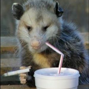 Meet your Posher, Travis